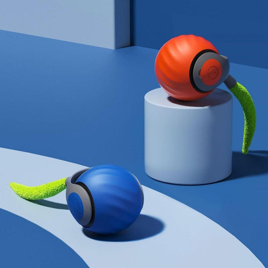 Rolling Ball Cat Toy - IronWhaleRolling Ball Cat Toy